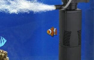 Guide to clean a fish tank filter