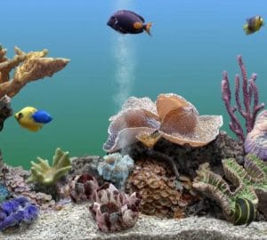 Best aquarium power filter reviews