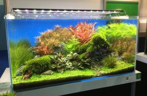 Planted Aquarium LED Lighting Guide