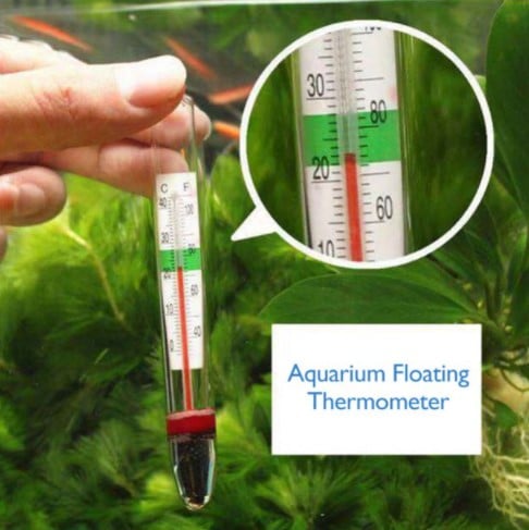 Floating aquarium thermometer